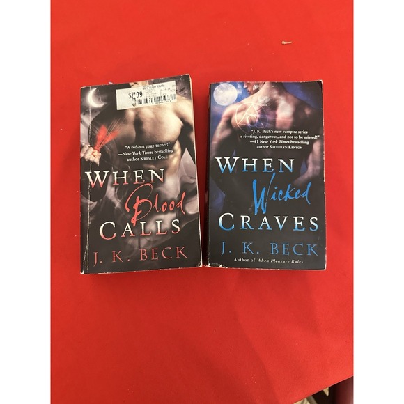 Other - Romance Novels By J.K. Beck Paperback Set Of 2